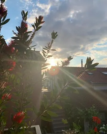 Taverna Coctel Пореч