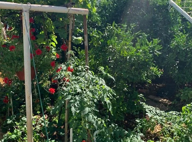 Apartman Taverna Coctel *