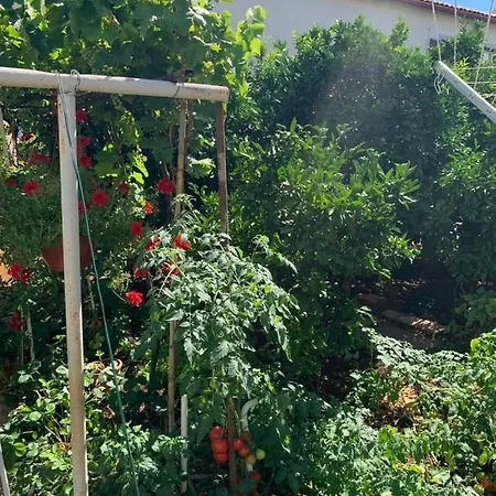 Апартаменты Taverna Coctel *