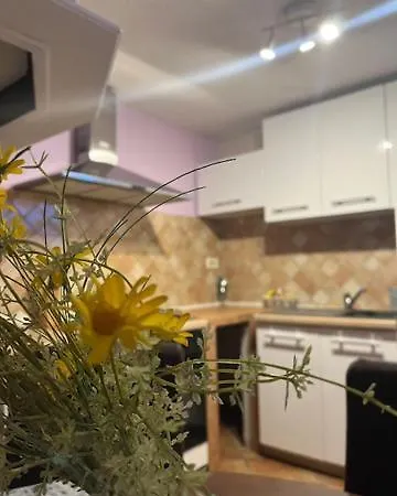 Taverna Coctel Пореч