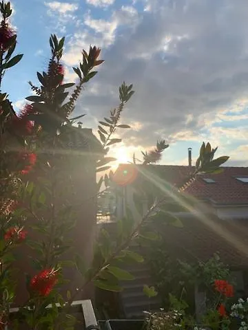 Taverna Coctel Porec