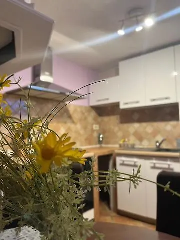 Taverna Coctel 포레치